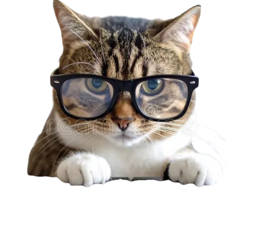Gato móvil